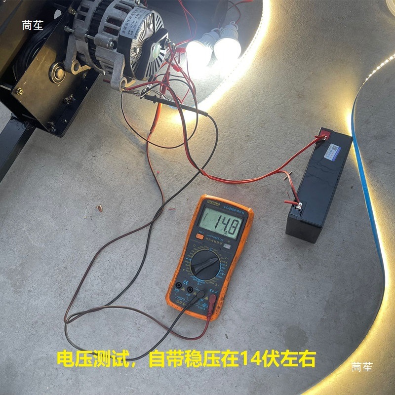 脚踏发电机12V24V伏2000W瓦永磁直流大功率电瓶充电健身自行车
