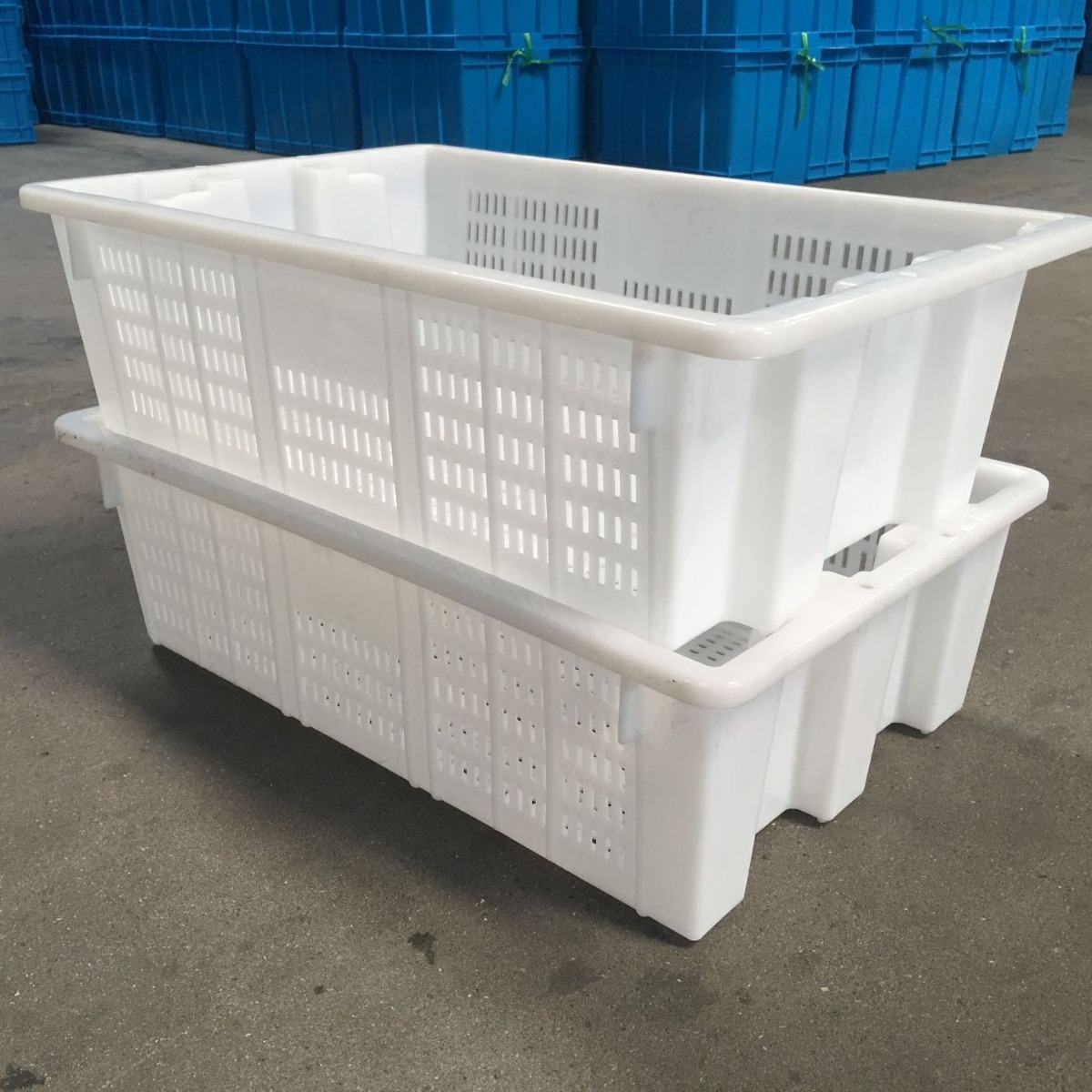 供白色茶叶筐蓝色周转筐/圆孔塑胶框加厚储物料框/注塑加工带孔箱