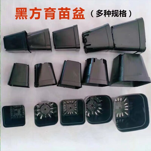 Multisani seedling pot small black side 5.5 square style of black…