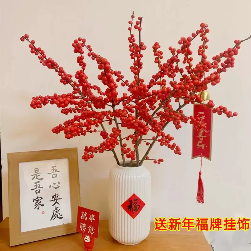 A级北美冬青插花切枝年宵花水培家用插花卉红果水培