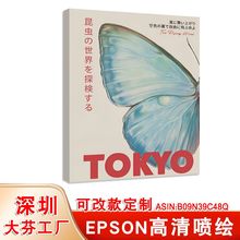 亚马逊日本自然蝴蝶办公室挂画复古动物美学极简主义卧室装饰画