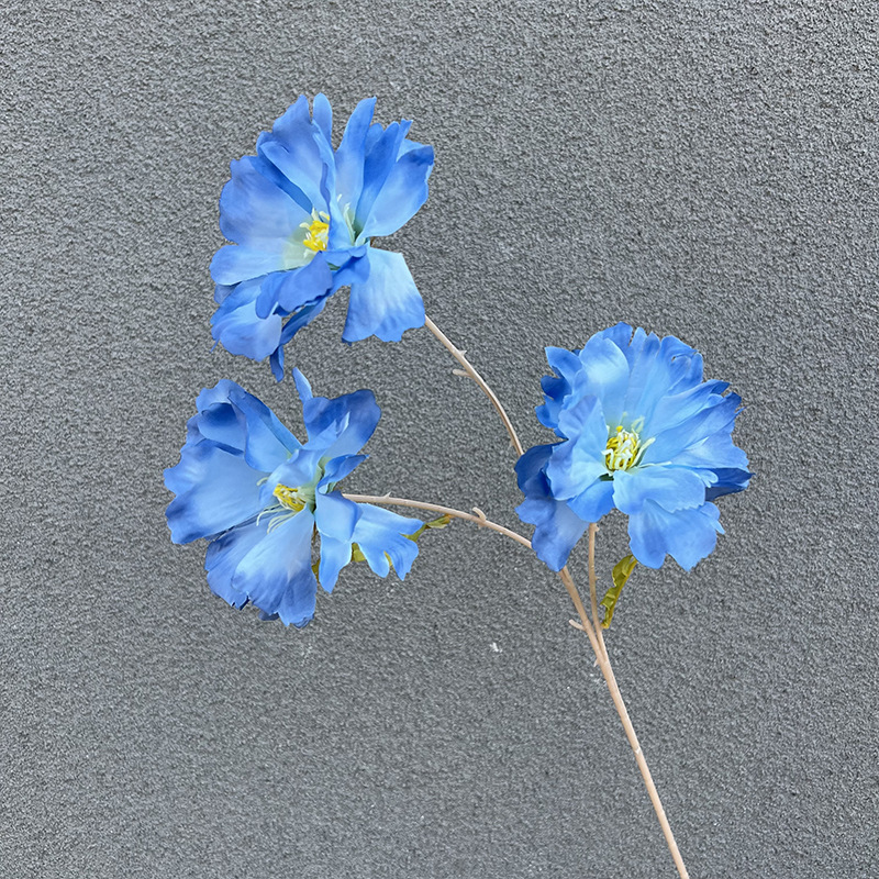 3 Blue Lanxi Flowers