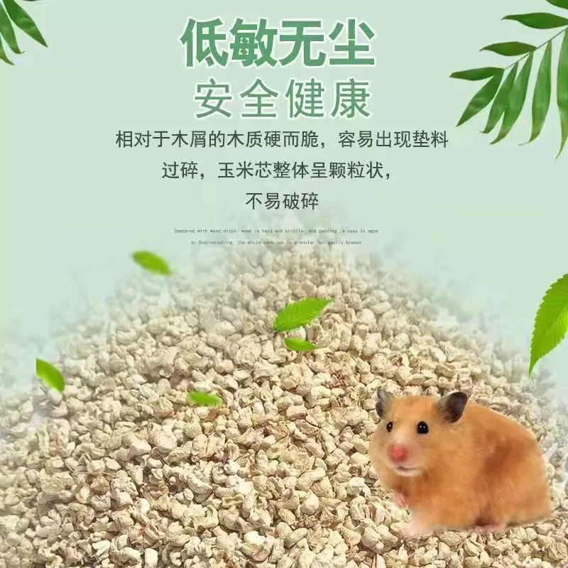 Хомяк кукурузный початок летом