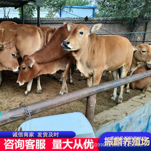 ������ţ�كr�� �����Sţ ���T����Сţ�� ���NƷ�N��ţ ����r��