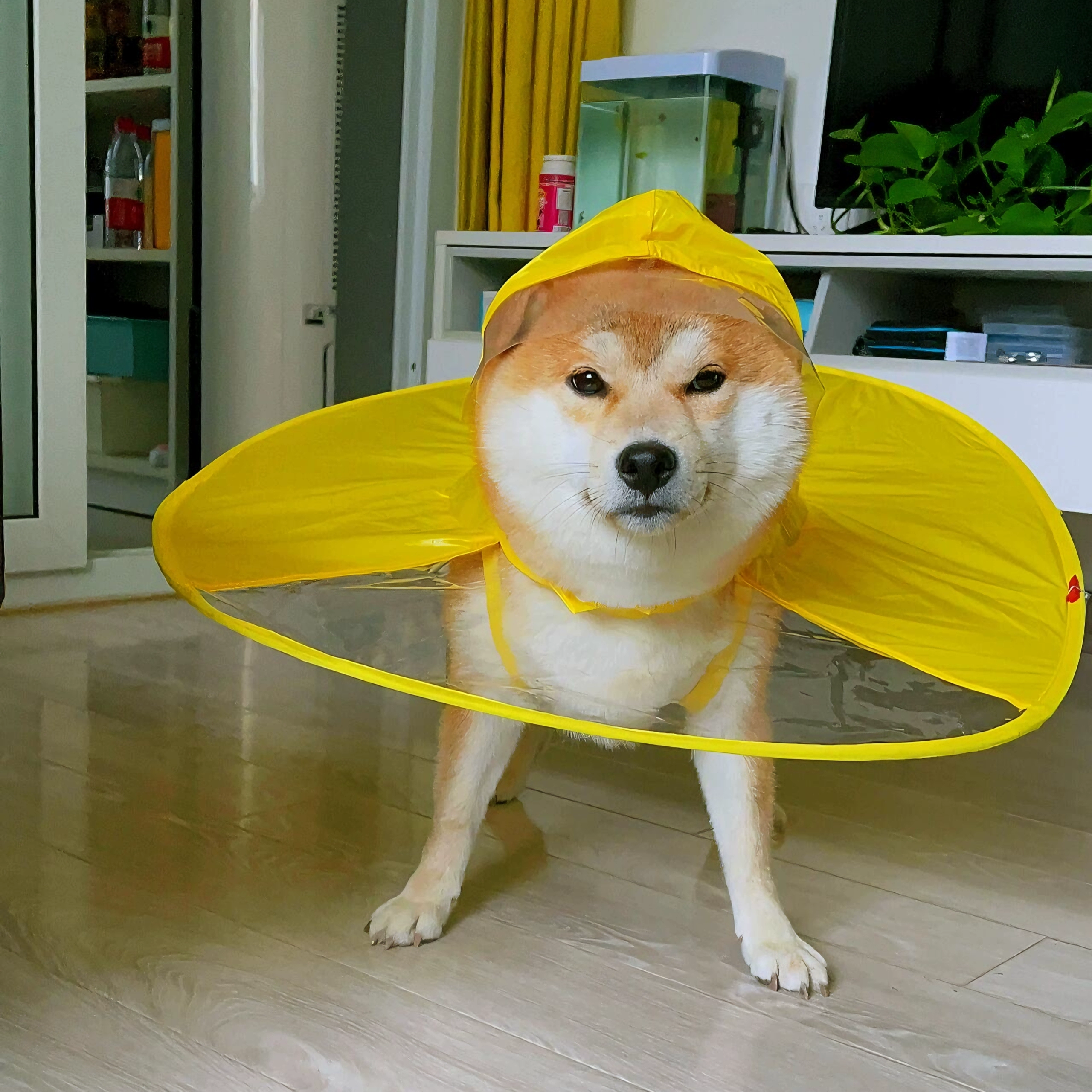 Дождевая куртка для собак Kogi Dou Tascat Uset шляпа летающая тарелка в плаще