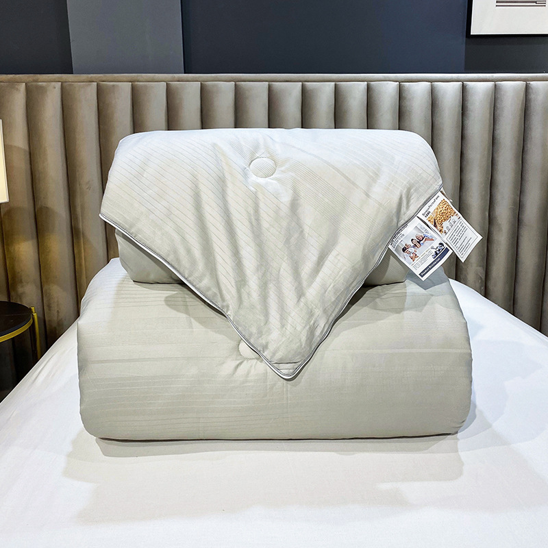 New New Cotton Dobby Two-in-one Soybean PIP is Twins quilt The quilt core thickening Winter quilt