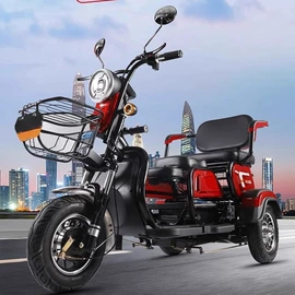 其他电动车;电动三轮车;电动摩托车