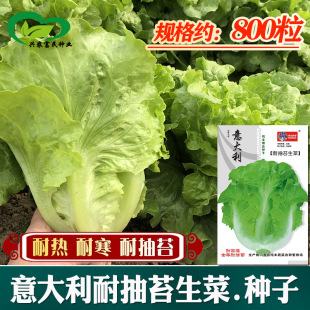 �����ȫ���ͳ�̦���˷N�� ɳ���n�ķN���ļ��߲˷N�����l