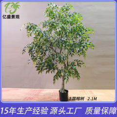 模擬小さな木床置き鉢植え屋内無垢材バイオニック小さな緑の植物の装飾品リビングルームライト高級装飾人工偽木
