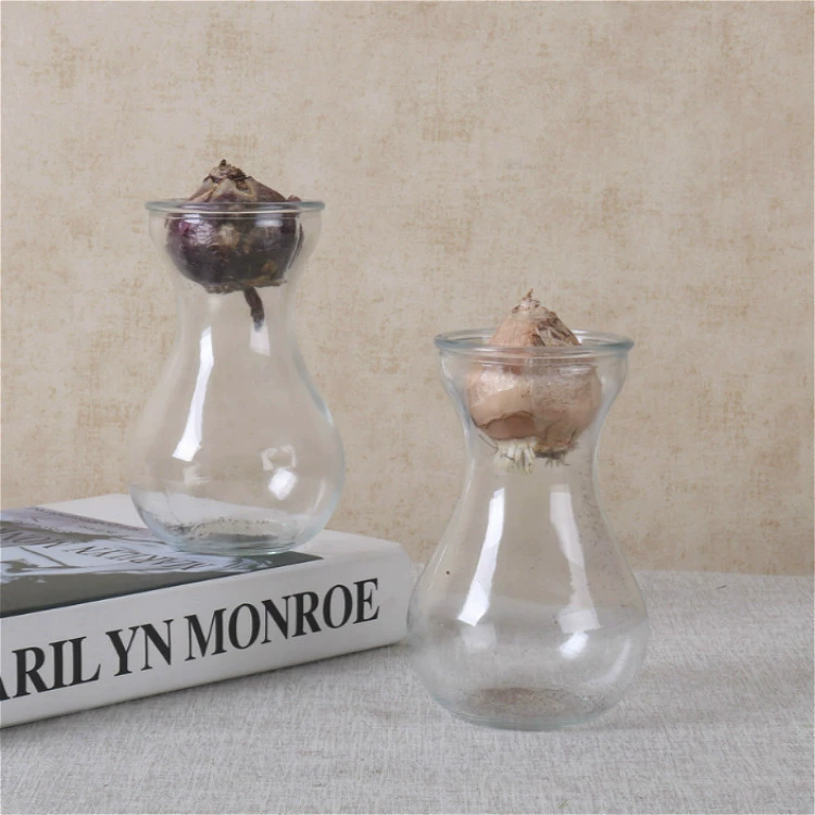 Гиацинт гидропонная стеклянная бутылка прозрачная гидропонная пластиковая раковина гиацинт ваза