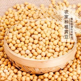 �͜غ決���S�� ����s�Z�S�� �Fĥĥ�۴򶹝{�����S��ԭ�����l