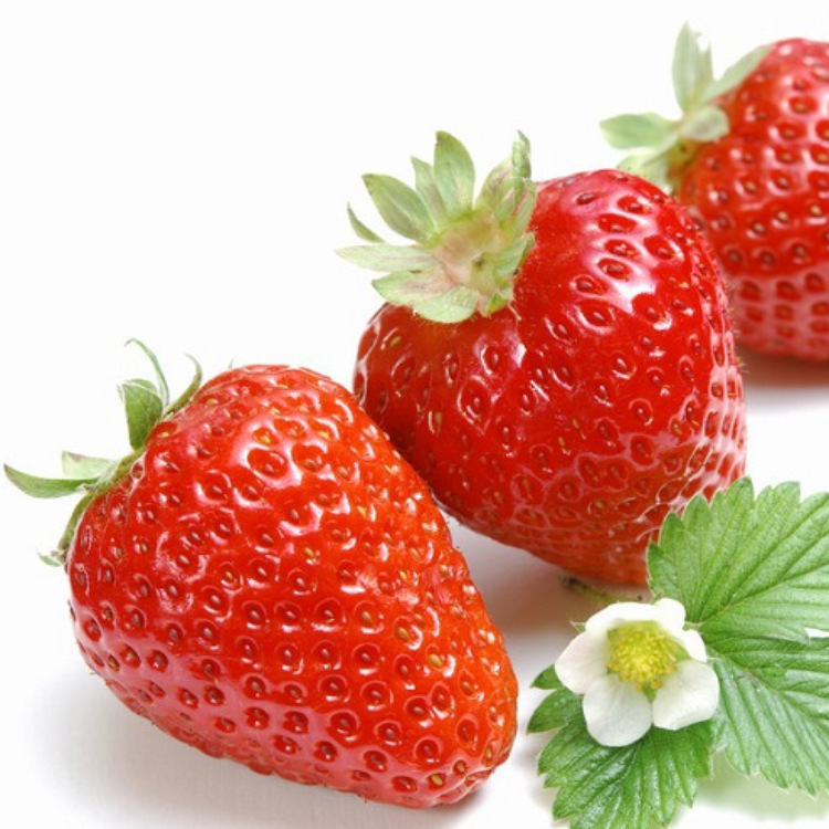 厂家供应摩擦发香香味粉，花香/水果香香味水油性通用微胶囊香粉