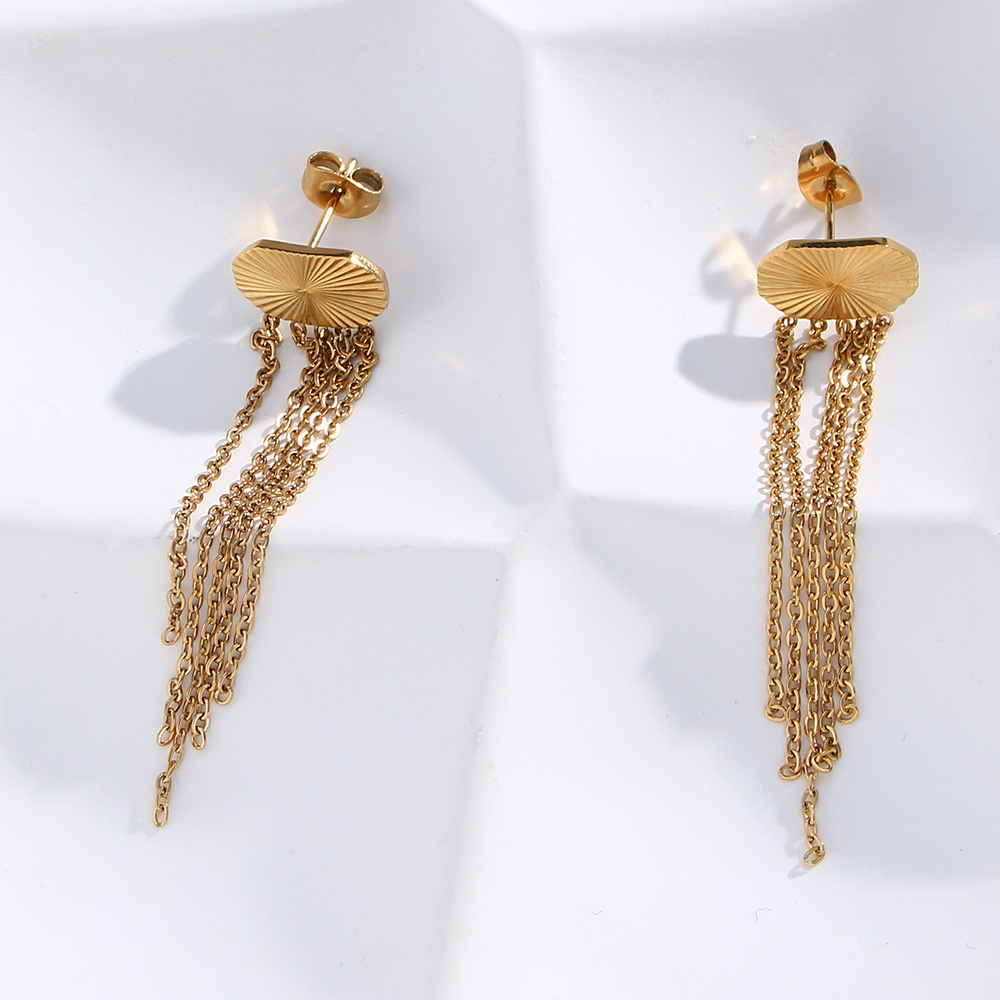 Fashion Tassel Stainless Steel Drop Earrings Stainless Steel Earrings display picture 4