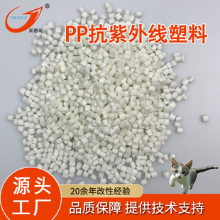 ����PP���SF130UVע�ܼ��۱�ϩ���ϻ�����aƷ�ÿ����⾀PP����