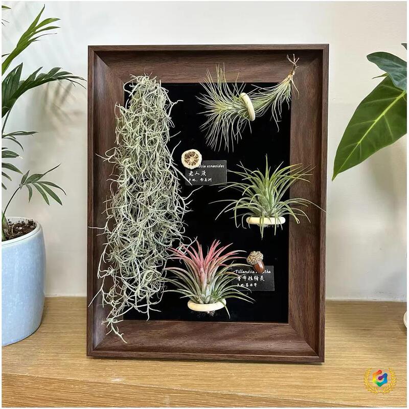 ⇜ Magnetic Photo Frame with Air Plants, Vintage Empty Frame, American-Style Digital Oil Painting Frame, Decorative Photo Frame for Tabletop Display ⇜ Magnetic Photo Frame with Air Plants, Vintage Empty Frame, American-Style Digital Oil Painting Frame, Decorative Photo Frame for Tabletop Display