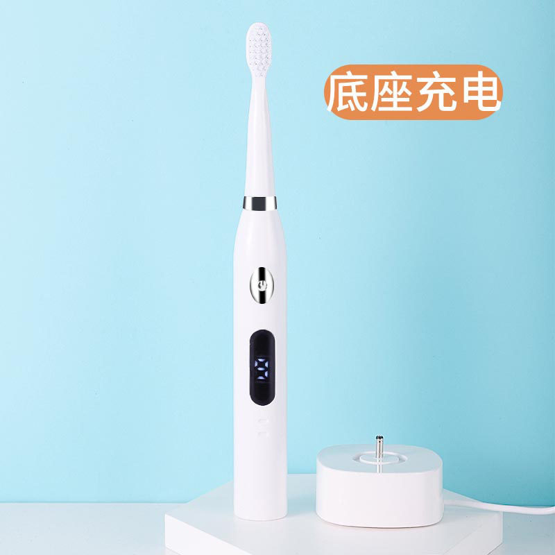 신사 긴자 책임