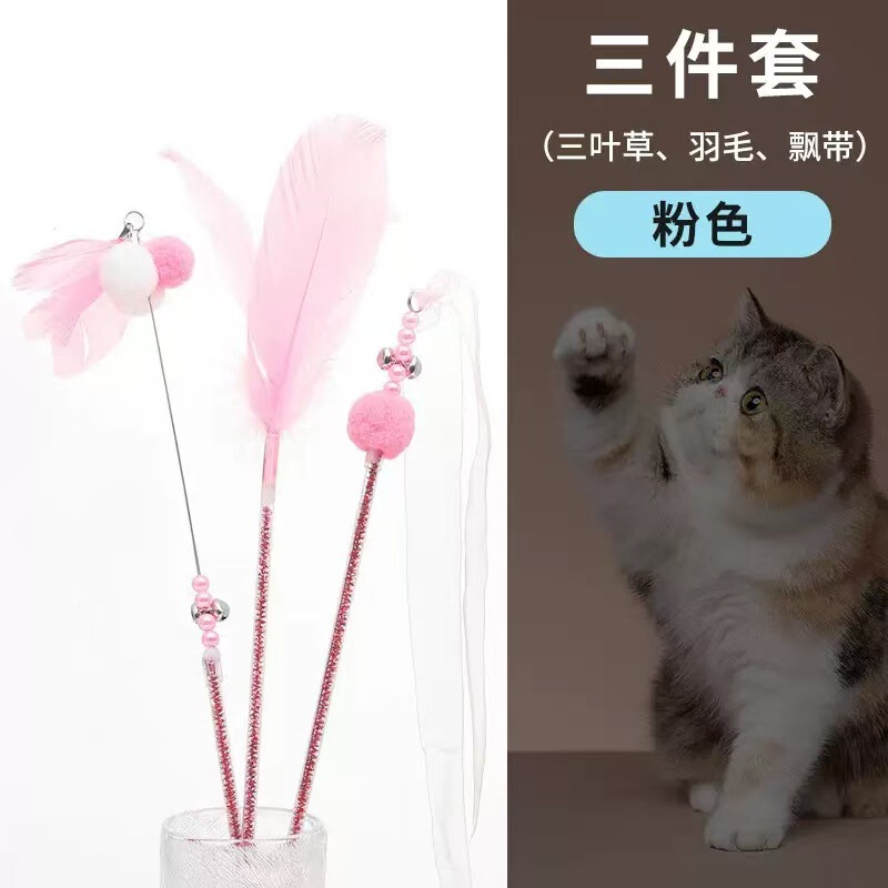 アンドロメダが猫の棒をからかっている猫のおもちゃが交流している|undefined
