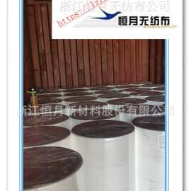 亚光 ES 热轧无纺布 无荧光热粘合 过滤袋包装专用原料