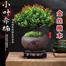 zľС~辰Ϙ绨k҃СGֲGֲ