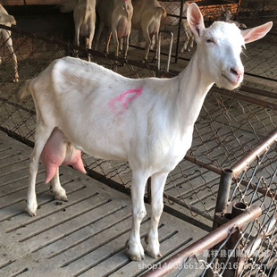 ���� ��ɽ����w��� ɽ�|��ɽ���Bֳ�� �_����ɽ�ծa�� ����r��