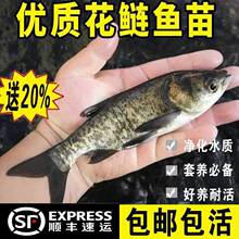 �����~�絭ˮ�Bֳʳ�û��~���^�ش����I���~��ˮ�^�p���^�~�����l