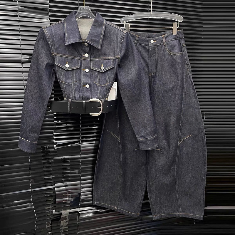 2026 Spring New Heavy-Duty Embroidered Denim Jacket High-Waisted Slimming Wide-Leg Pants Fashion Denim Set