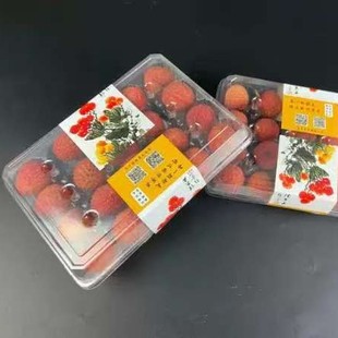Lychee Disposable Plastic Packaging Box 20 Pieces Fruit Packaging Display Box Anti-Squeeze Transparent Strawberry Box