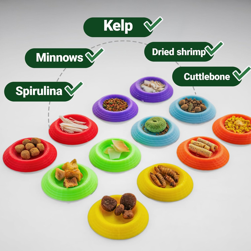 12 Dubia Cockroach Food Bowls Are Suitable for Mini Food Trays for Isopod Animals and Small Invertebrates 12 Dubia Cockroach Food Bowls Are Suitable for Mini Food Trays for Isopod Animals and Small Invertebrates