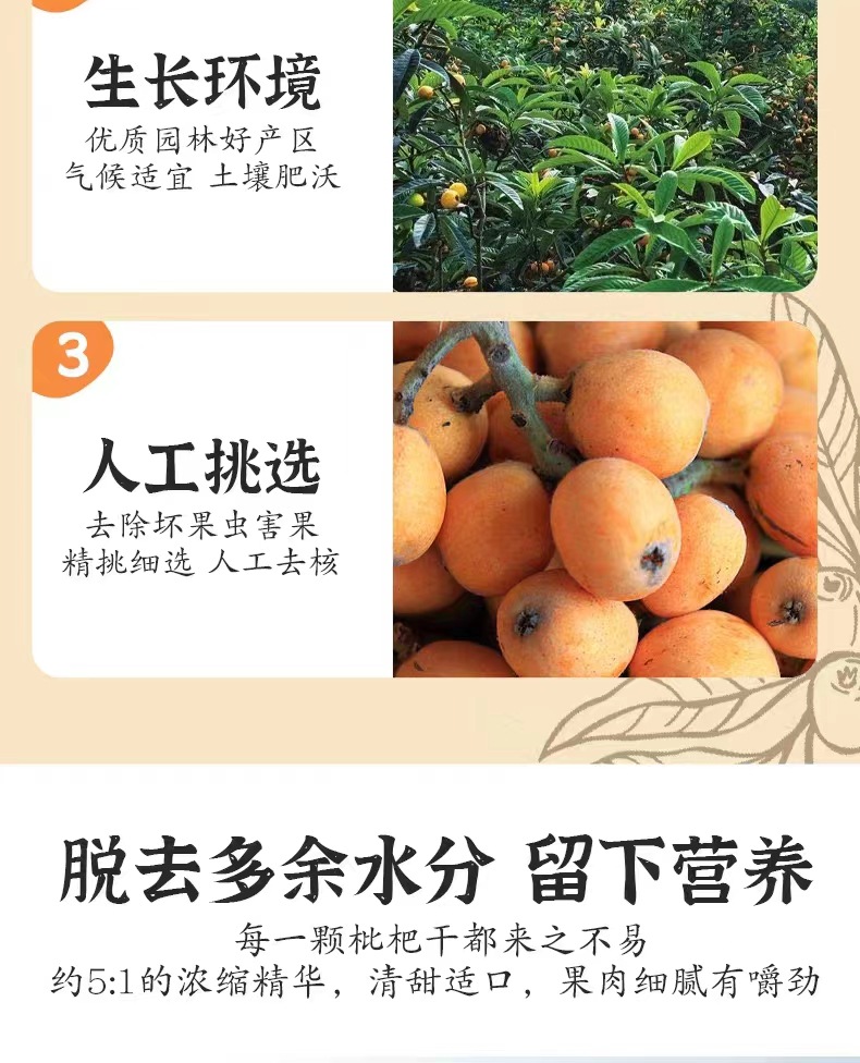川知竹盐枇杷干批把果脯琵琶批粑干原味批杷锁鲜蜂盐网红零食批发-阿里巴巴