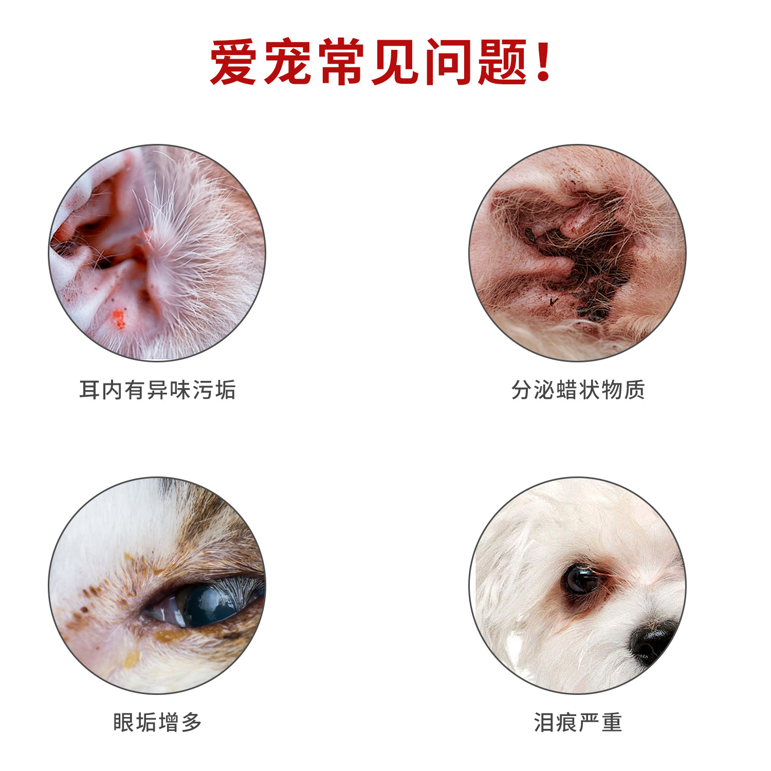 Fábrica al por mayor pipetao Ojo de mascota toallitas para el oído eliminación de lágrimas de gato toallitas perro suministros de limpieza