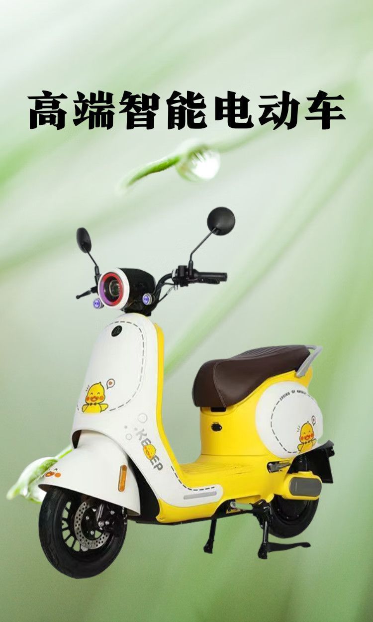Electric Motorcycle Scooter