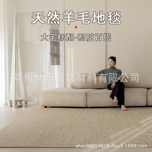 Wool Series Living Room Carpet Light Luxury Simple Italian Style Silent Style French Style Middle Ancient Style Cream Sofa Coffee Table Bedroom