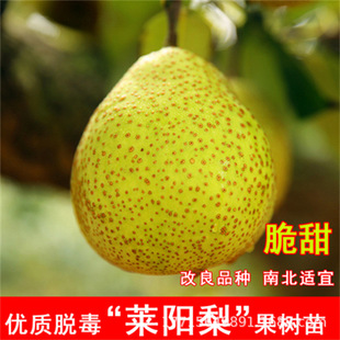 �R����t��������l�����޽ӹ������Ե���ͥԺ�������ּt����