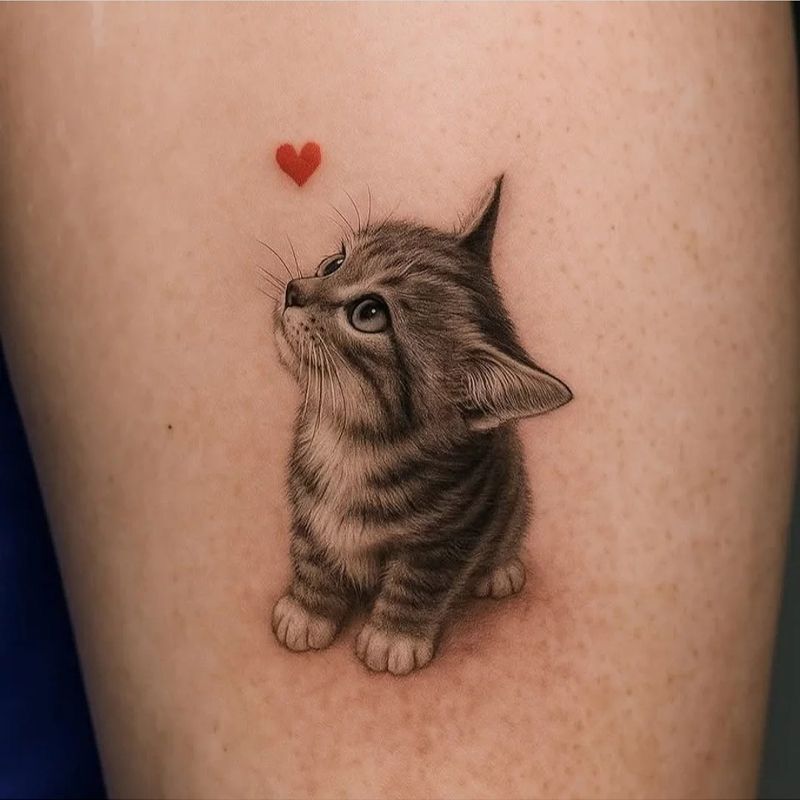 Cute Raccoon Cat Tattoo Colorful Hot Girl Arm Long-Lasting Pet Male and Female Tattoo Waterproof Ins Cartoon Sticker
