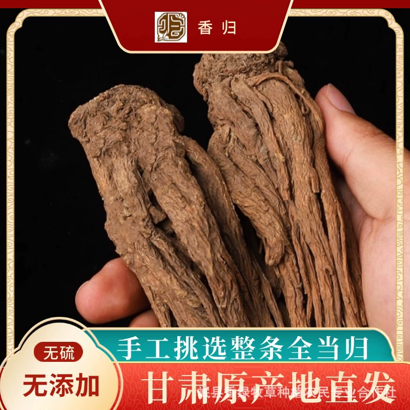 Настоящий ганьсу-ангелика (Angelica sinensis) из Миньсяня, оптовая продажа сухих продуктов без серы, подходит для супов и настоек, оригинальное происхождение, китайское лекарственное сырье, органический.