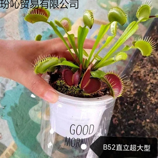 ���xʳ�x�i�\������ֲ�����ʳ�x��ω�҃�����С����