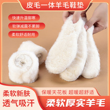 真纯羊毛皮毛一体加厚保暖吸汗成人男女雪地靴冬季毛绒透气棉鞋垫