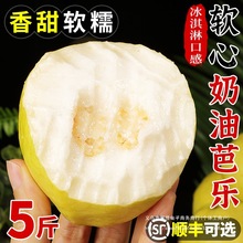 广东软糯奶油芭乐5斤新鲜水果当季软心番石榴鸡屎果白心芭乐包邮3