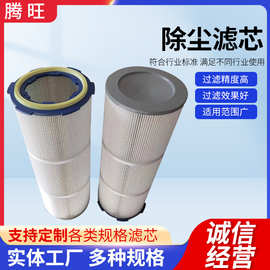厂家工业除尘滤芯回收粉尘静电喷涂过滤器六耳快拆滤筒除尘滤芯