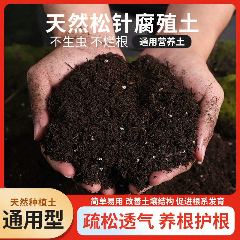 Сосновая игла гумус почва питательная почва гнилой листовой почвой гнилой ферментированной клановой орхидеи