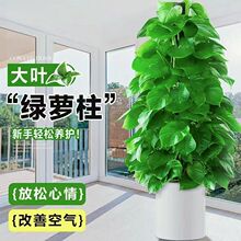 ���~�G�}�������k���_�I���w�¾����P���������ļ����B��ֲ��