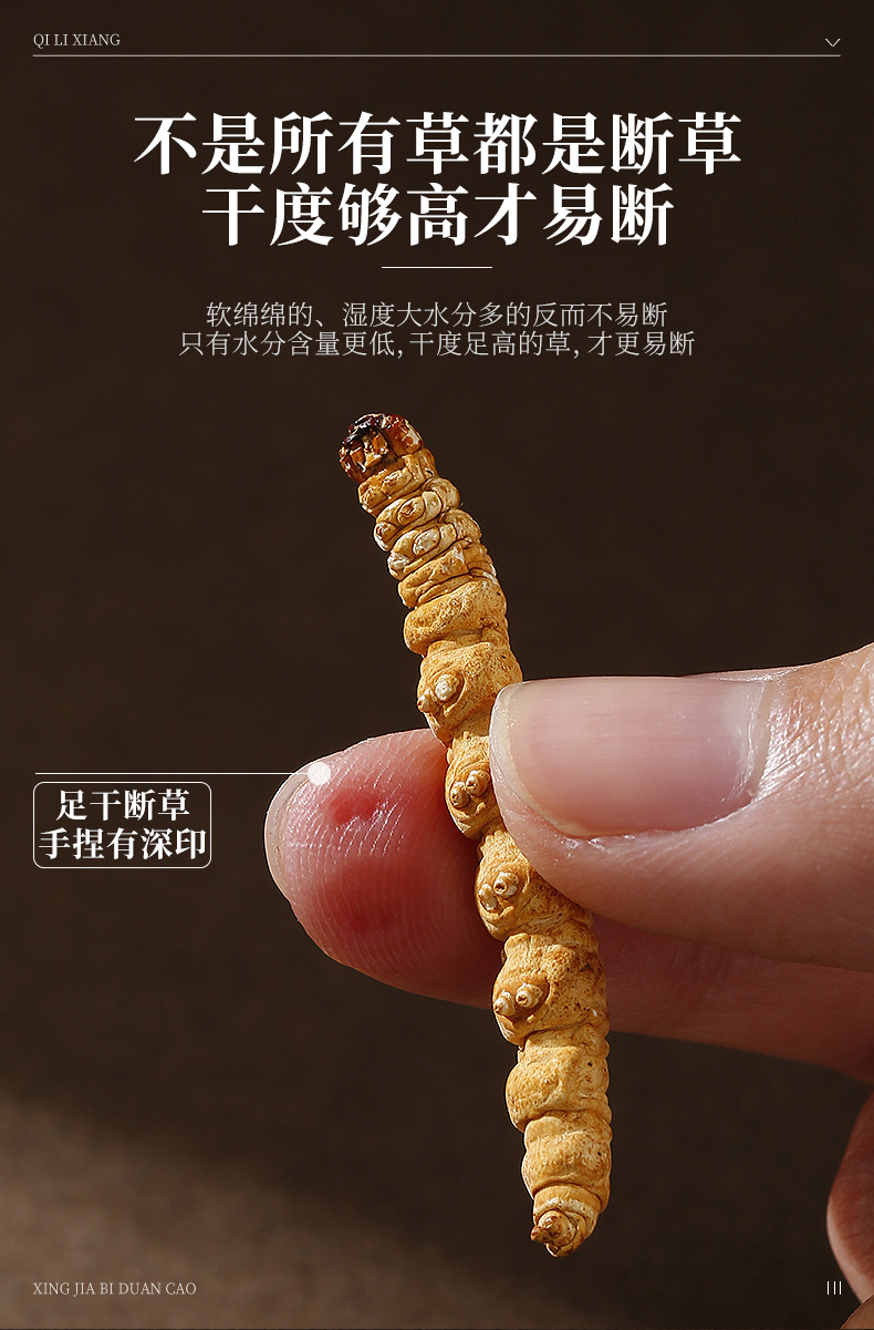Dried Cordyceps Sinensis Broken Stems 5g Jar Tibetan Plateau Whole Dried Cordyceps for Cooking specifications