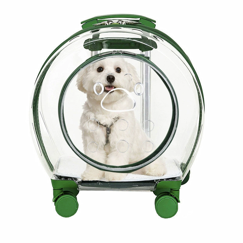 Acrylic pet carrier suitcase, handheld with telescopic handle and wheels, ventilated, waterproof