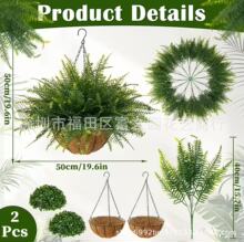 �羳����Ғ�ֲ�� -��ʿ�Dާ�Gɫֲ�����첨˹�ٗl��������⾀��