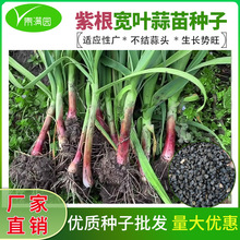 �ϸ���Ҷ�������Ӻ�������ļ���Ҷ�������ͺ���Ƥ��Ƥ����������