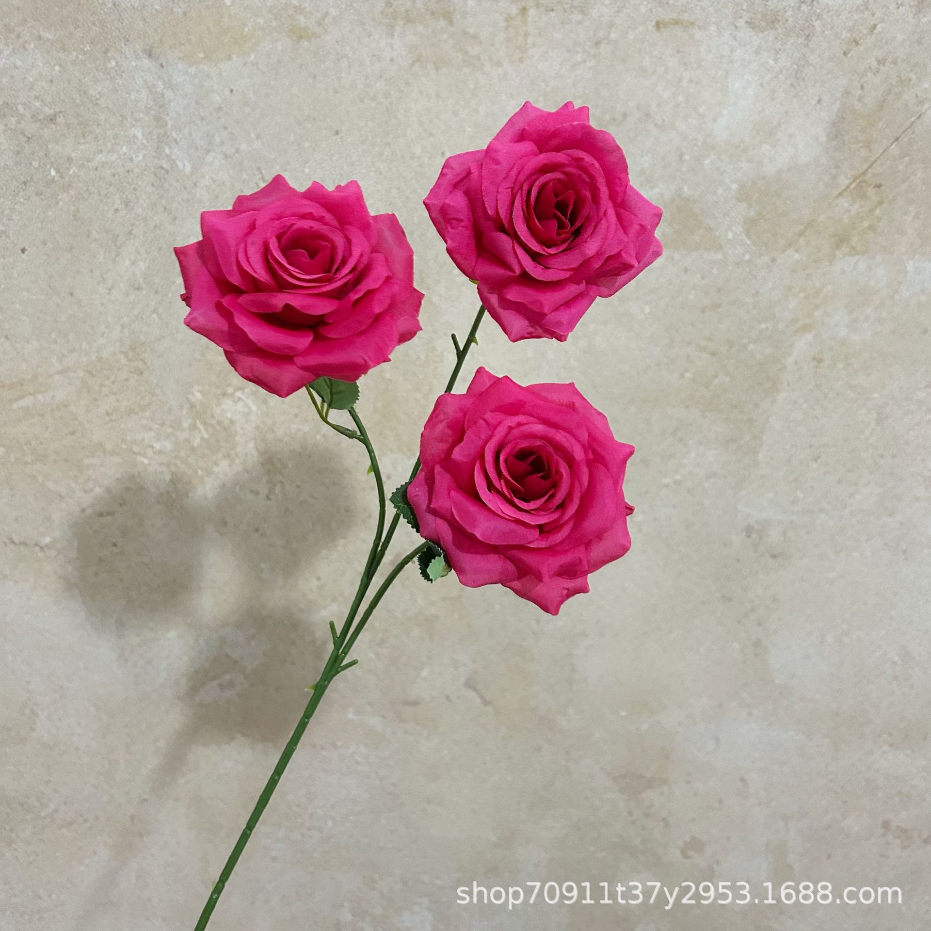 잎이 달린 장미 빨간색