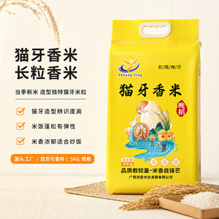 �V������һ���L��؈����10���ͥ�b�����������������׏S��