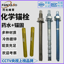 化学锚栓碳钢镀锌锚固剂M12-M30厂家直供高强锚固
