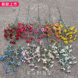 �¿��c���滨 ���^Ұ���� СҰ���ȼ�������@��cܛ�b�ٻ����l