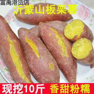 2���l����С�ع�10�t�������t�����r�S��5�߲�����ɳ�ط���